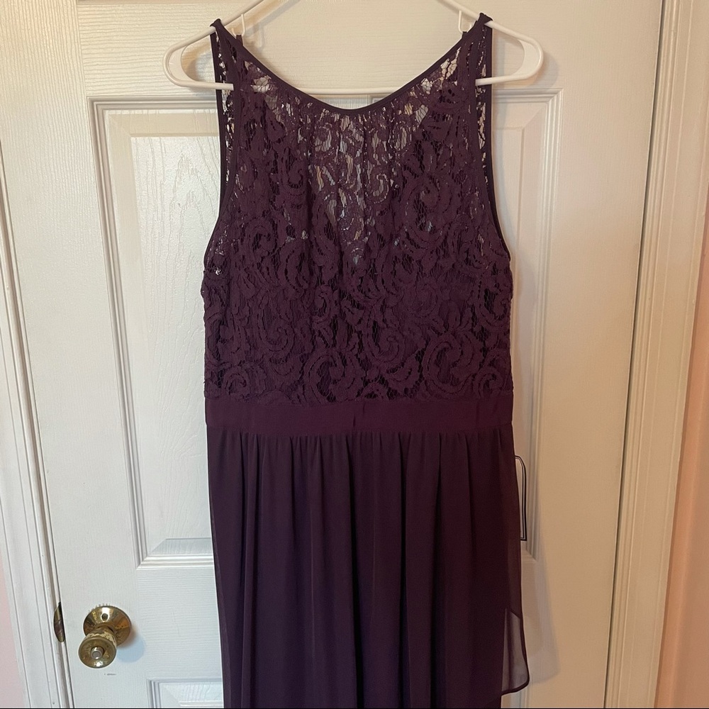 Lace Eggplant Purple Adrianna Papell Gown